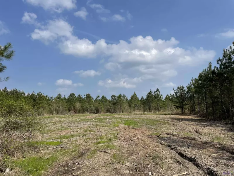 Tract 4 LORIN WALL RD, Holden, LA 70744