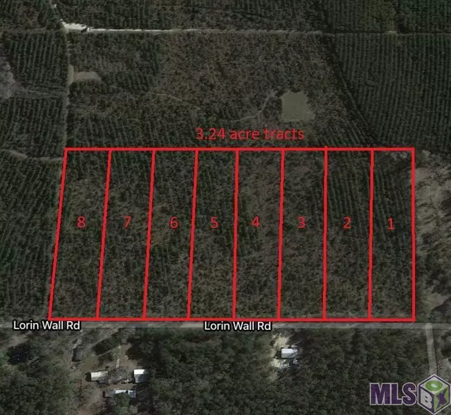 Tract 2 LORIN WALL RD, Holden, LA 70744