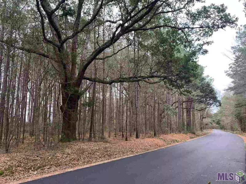 Lot 39 NESOM RD, Denham Springs, LA 70706