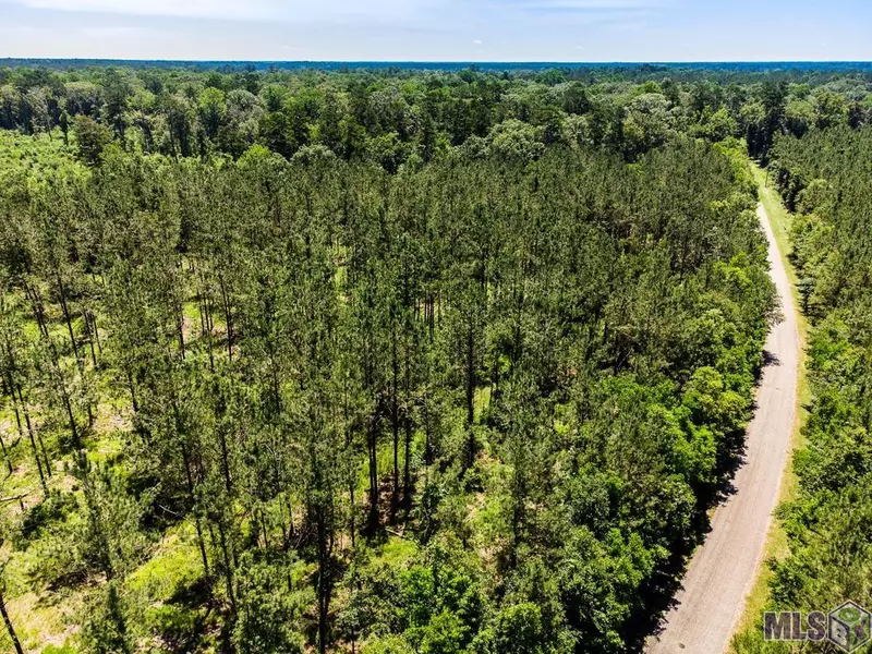 TBD MCLIN RD, Pine Grove, LA 70453