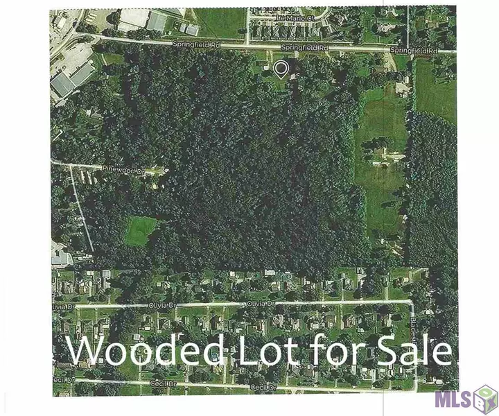 Tract B SPRINGFIELD RD, Denham Springs, LA 70706