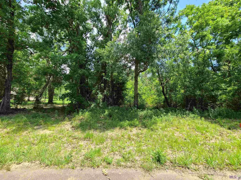 TBD AMITE ACRES DR, Springfield, LA 70462