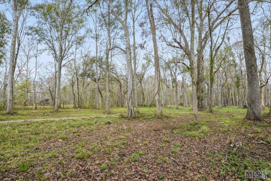 10476 MARANATHA ACRES, St Amant, LA 70774