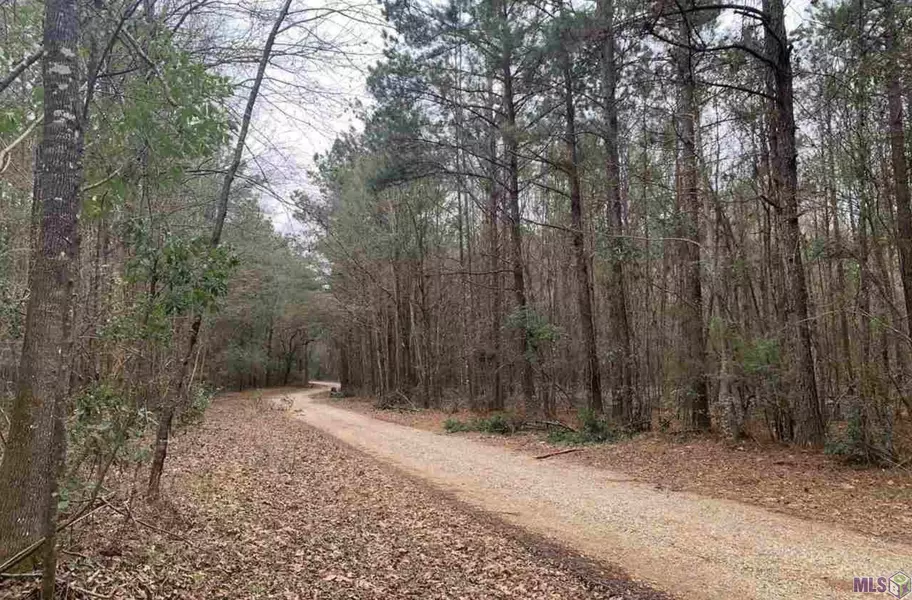 Lot 45 BURKETT LN, Denham Springs, LA 70706