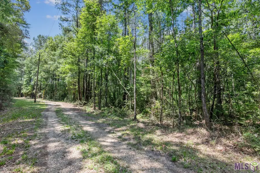 Lot 1 PACE RD, Clinton, LA 70722