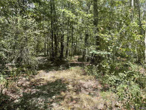 Lot E BLACKWATER RD, Baker, LA 70714