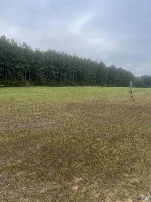 tract 1 BATTLE RD, Ethel, LA 70730