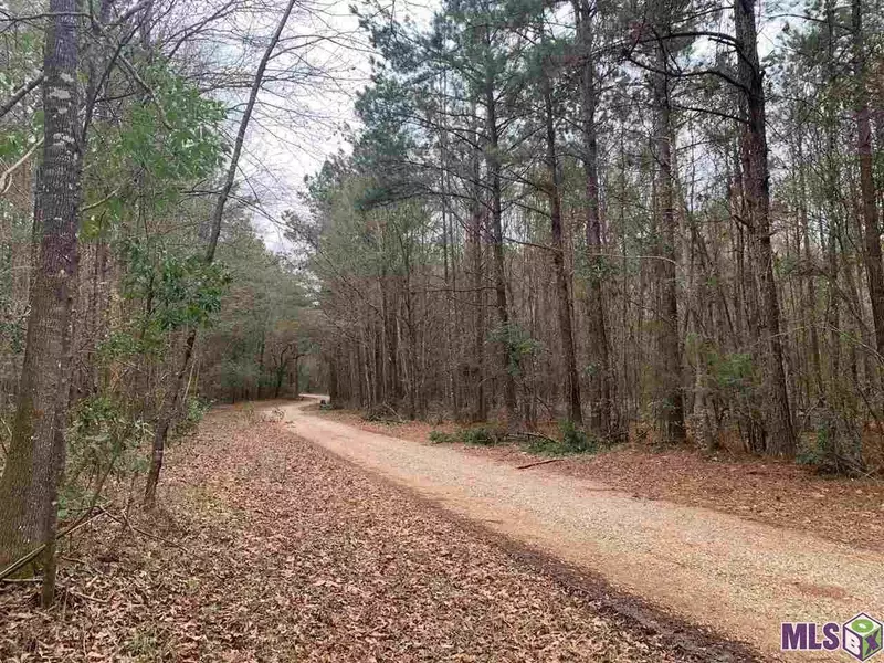 Lot 48 BURKETT LN, Denham Springs, LA 70706