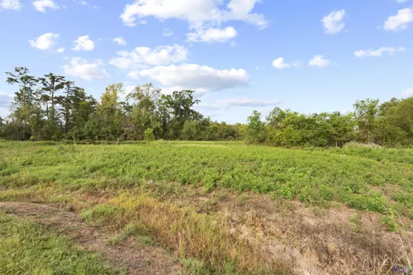 TBD Lot 19-A AMITE ACRES, Prairieville, LA 70769