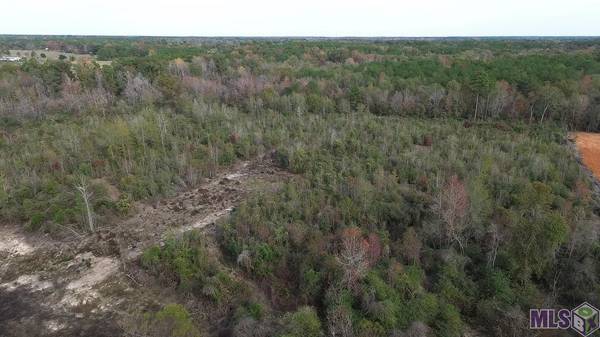 Lot D-1 OLON BANKSTON RD,  Kentwood,  LA 70444