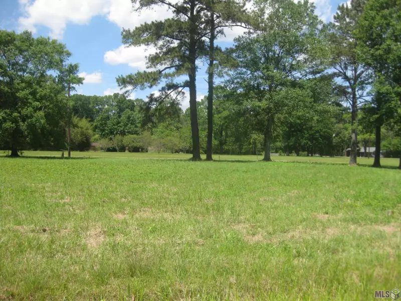 Lot # 11 & 16 LEE DR, Port Vincent, LA 70726