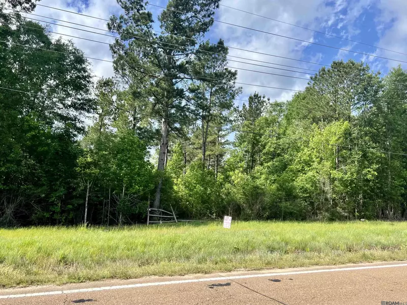 LOT 4 Hwy 24, Centreville, MS 39631