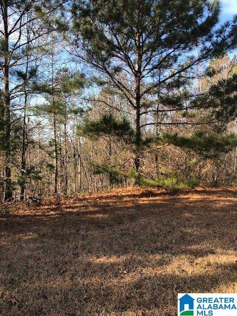 533 TERRACE MEADOW DRIVE #13, Wellington, AL 36279