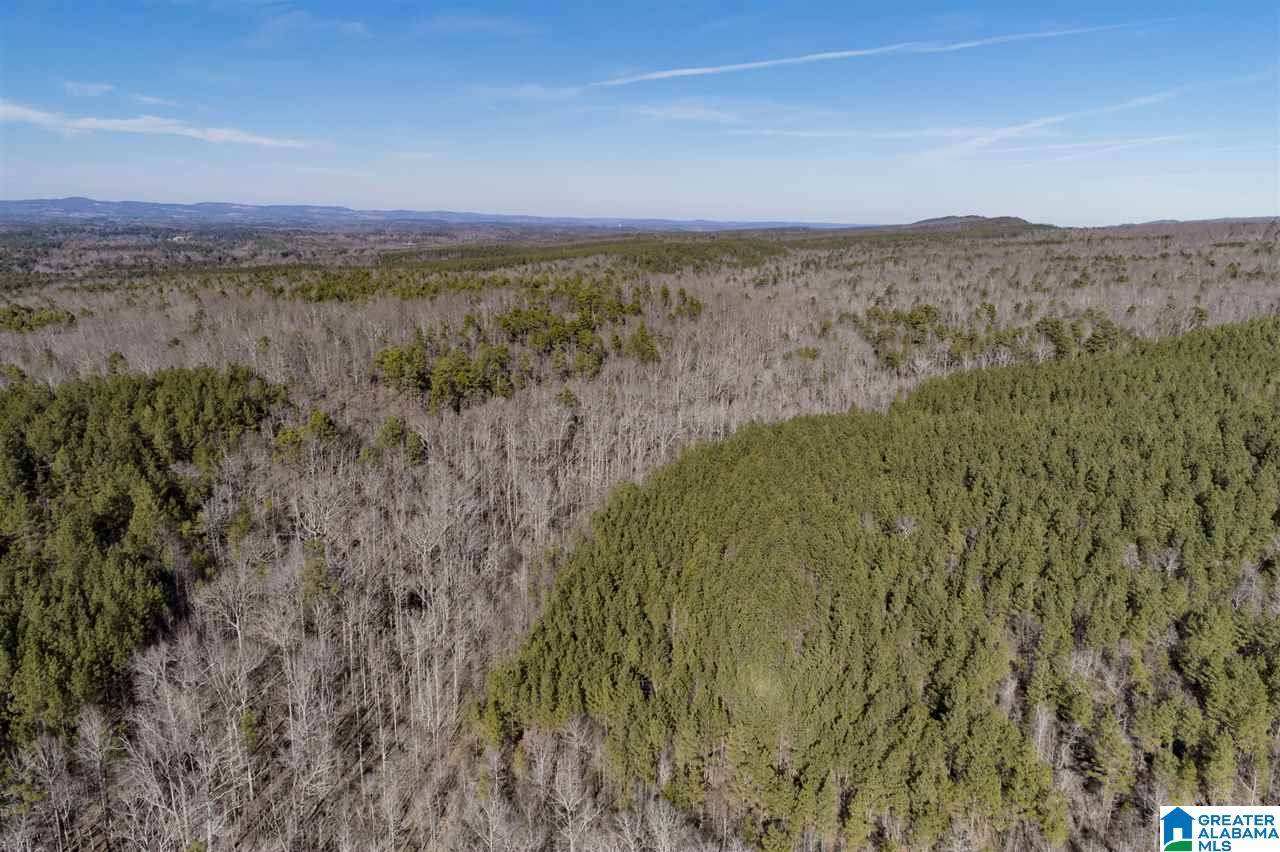 Remlap, AL 35133,0 MOUNTAIN ROAD #800ac
