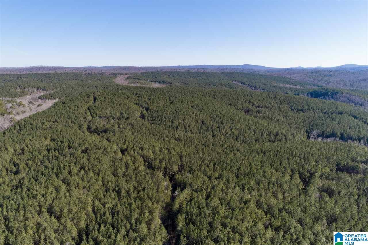 0 MOUNTAIN ROAD #800ac, Remlap, AL 35133