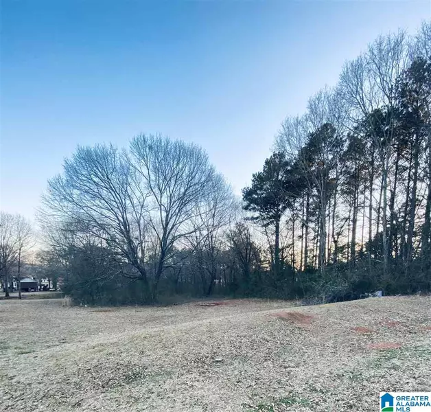 0 MOUNTAIN VIEW DRIVE #0, Wilsonville, AL 35186