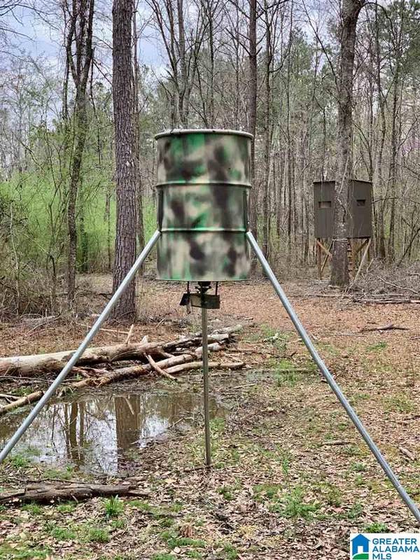 Vincent, AL 35178,168 GARRISON ROAD