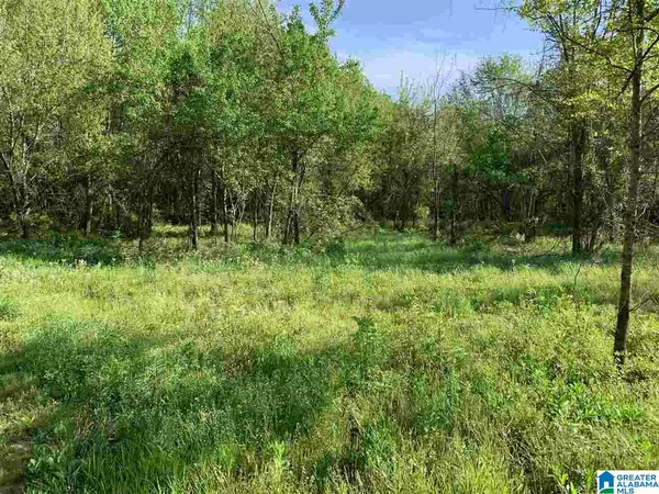 0 HIGHWAY 11 #30, Springville, AL 35146