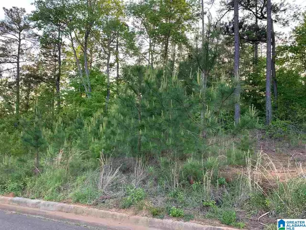 Weaver, AL 36277,0 ZOE COURT #4