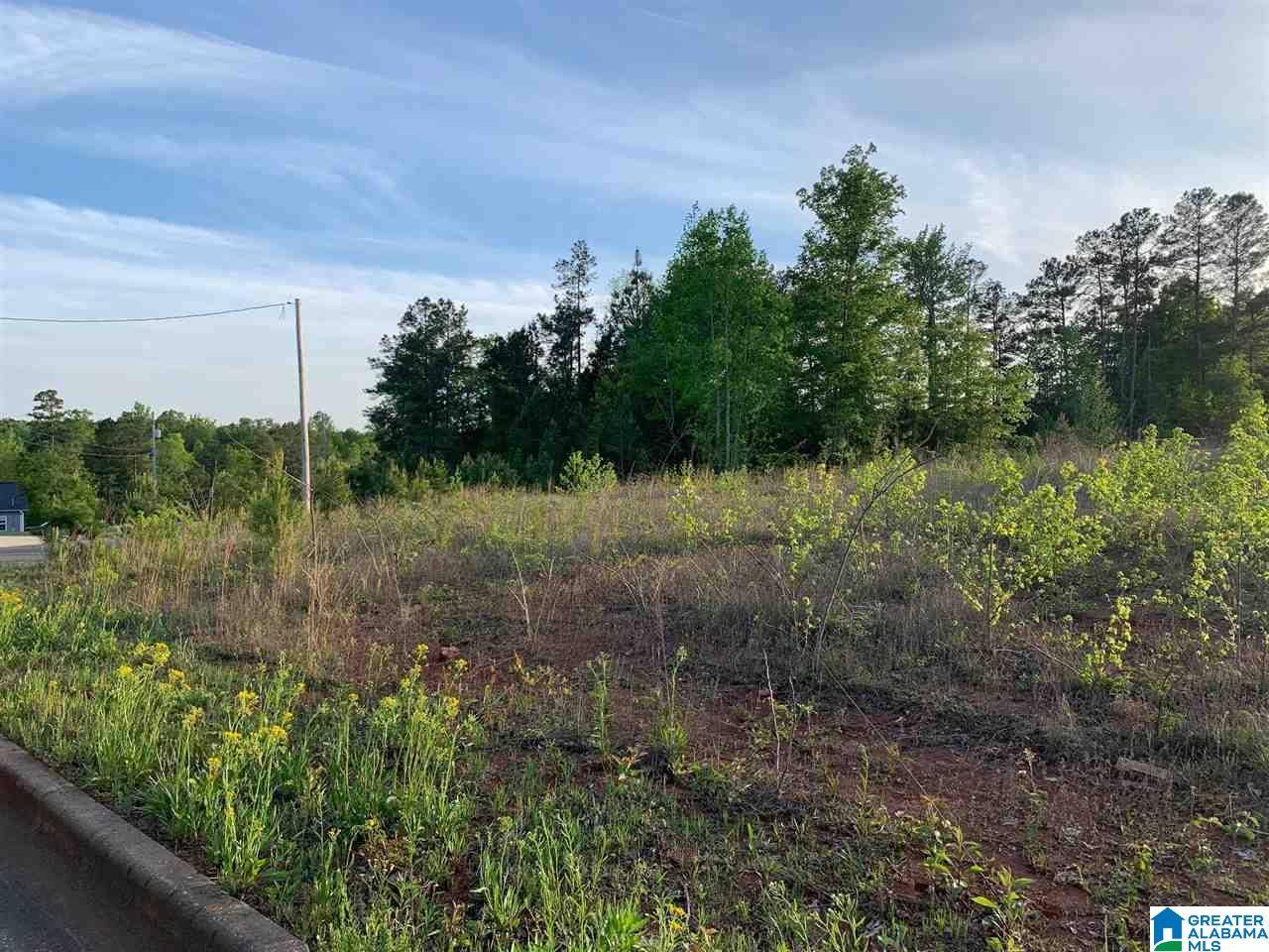 0 ZOE COURT #9, Weaver, AL 36277