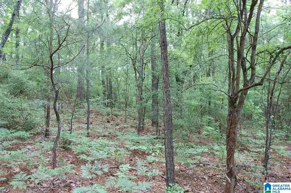 Marbury, AL 36051,2 COUNTY ROAD 63 #1