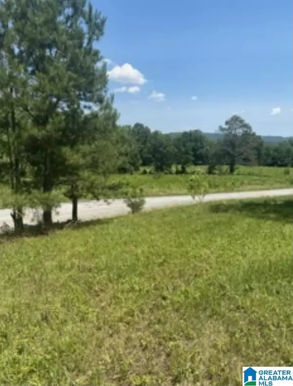 Ashville, AL 35953,POPLAR SPRINGS TRAIL #8.7 acres