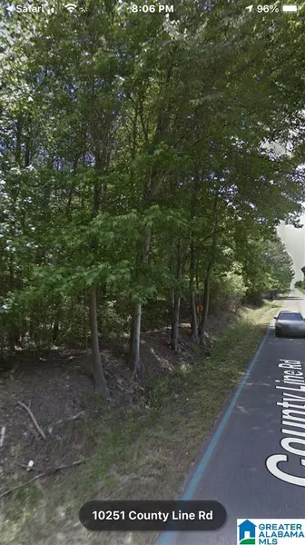 10251 COUNTY LINE ROAD #0, Empire, AL 35063