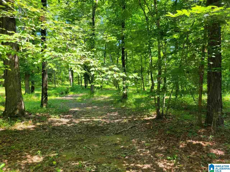 1401 SARDIS ROAD #22, Gardendale, AL 35071