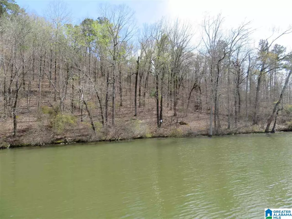 Rockford, AL 35136,Lot 16 EAGLE POINT TRACE #16