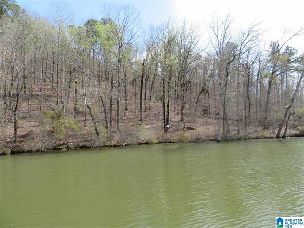 Lot 16 EAGLE POINT TRACE #16, Rockford, AL 35136