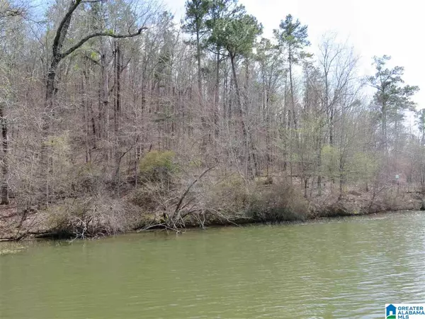 Rockford, AL 35136,Lot 17 EAGLE POINT TRACE #17