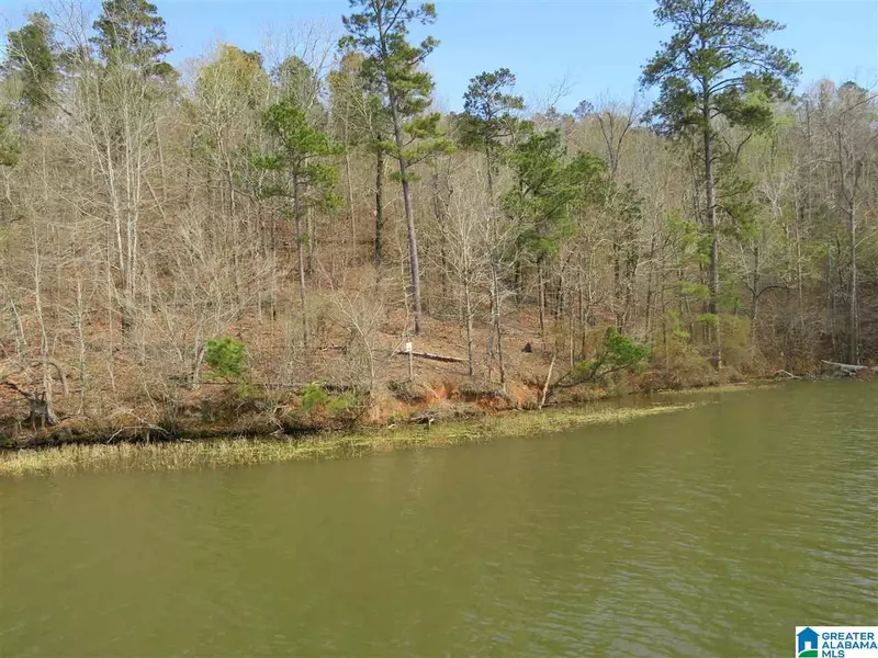 Lot 21 EAGLE POINT TRACE #21, Rockford, AL 35136