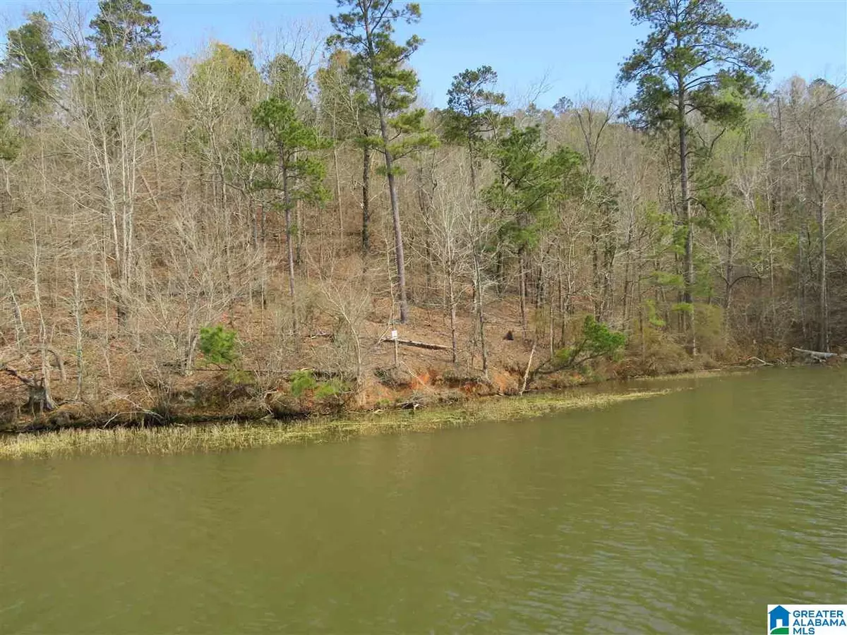 Rockford, AL 35136,Lot 21 EAGLE POINT TRACE #21