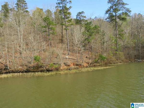 Lot 21 EAGLE POINT TRACE #21,  Rockford,  AL 35136