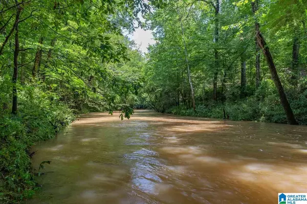 Columbiana, AL 35051,152 Acres COUNTY ROAD 42 #0