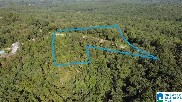 Rockford, AL 36091,0 EAGLE MOUNTAIN ROAD #1