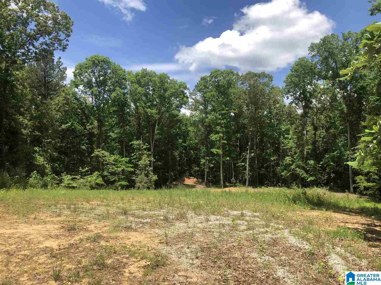 11214 MALONE CREEK ROAD #0, Gordo, AL 35466