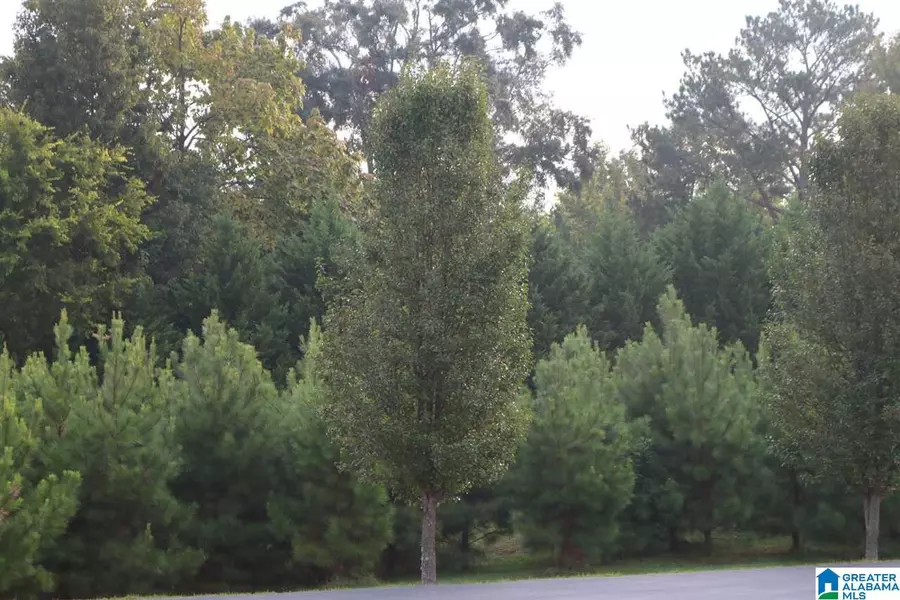 252 PARKVIEW DRIVE #35, Sylvan Springs, AL 35118