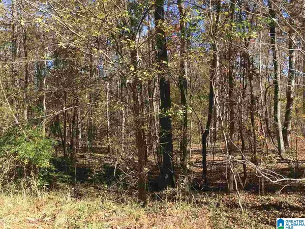 Ashville, AL 35953,000 SPRINGHOLLOW ROAD #11