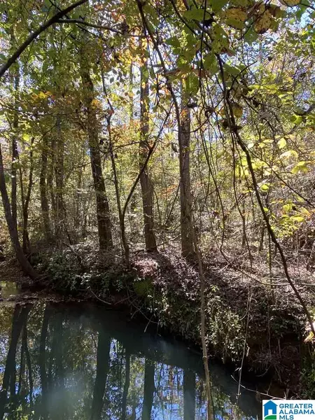 0 HIGHWAY 82 #0, Randolph, AL 36793