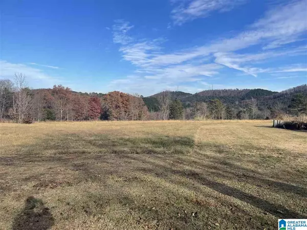 Piedmont, AL 36272,0 PLEASANT ACRES TRAIL #5