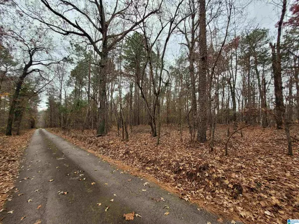 Green Pond, AL 35074,0 MOUNTAIN TOP DRIVE #1