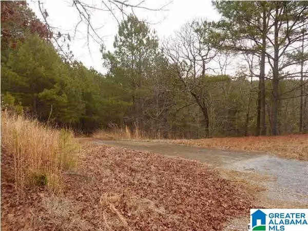 Sterrett, AL 35147,47762 HIGHWAY 25 #na