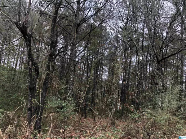 Pell City, AL 35128,000 AUTUMN RIDGE TRAIL #27