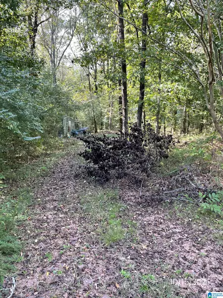 105 HIDDEN LAKE LANE #7, Empire, AL 35063