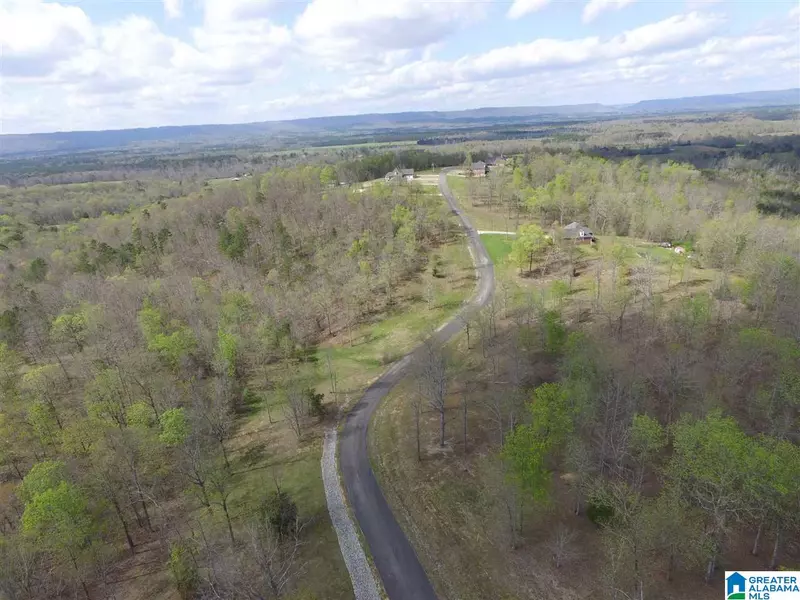 558 STONE RIDGE DRIVE #Lot 10, Springville, AL 35146