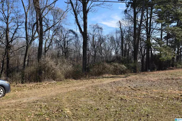 Logan, AL 35098,3 acres COUNTY ROAD 831 ##