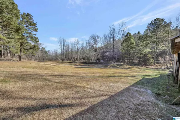 Remlap, AL 35133,4580 TUCKER MOUNTAIN ROAD