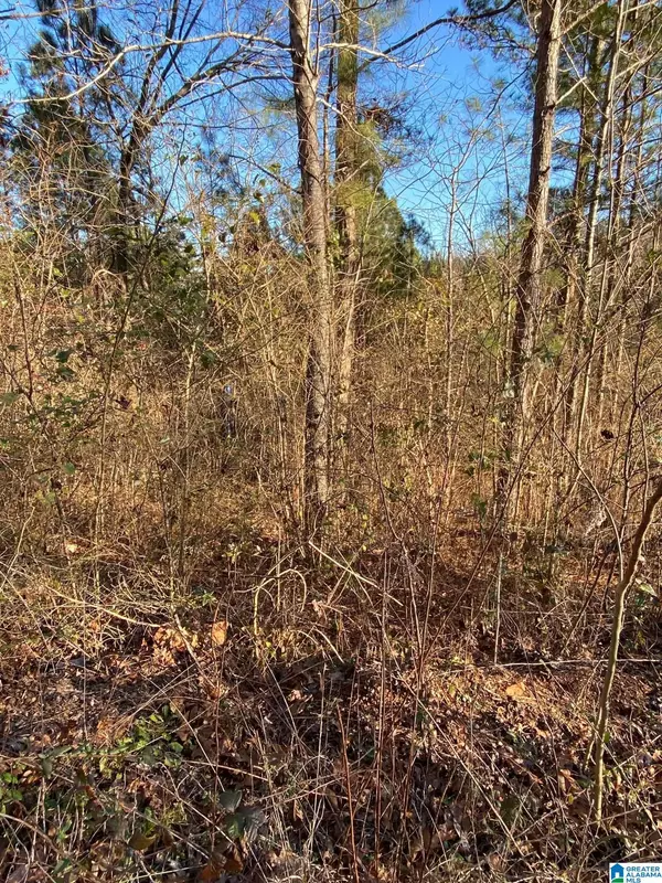 Springville, AL 35146,0 WOODLAND HILLS DRIVE #2 and 3