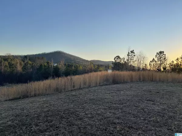 Piedmont, AL 36272,0 PLEASANT ACRES TRAIL #9